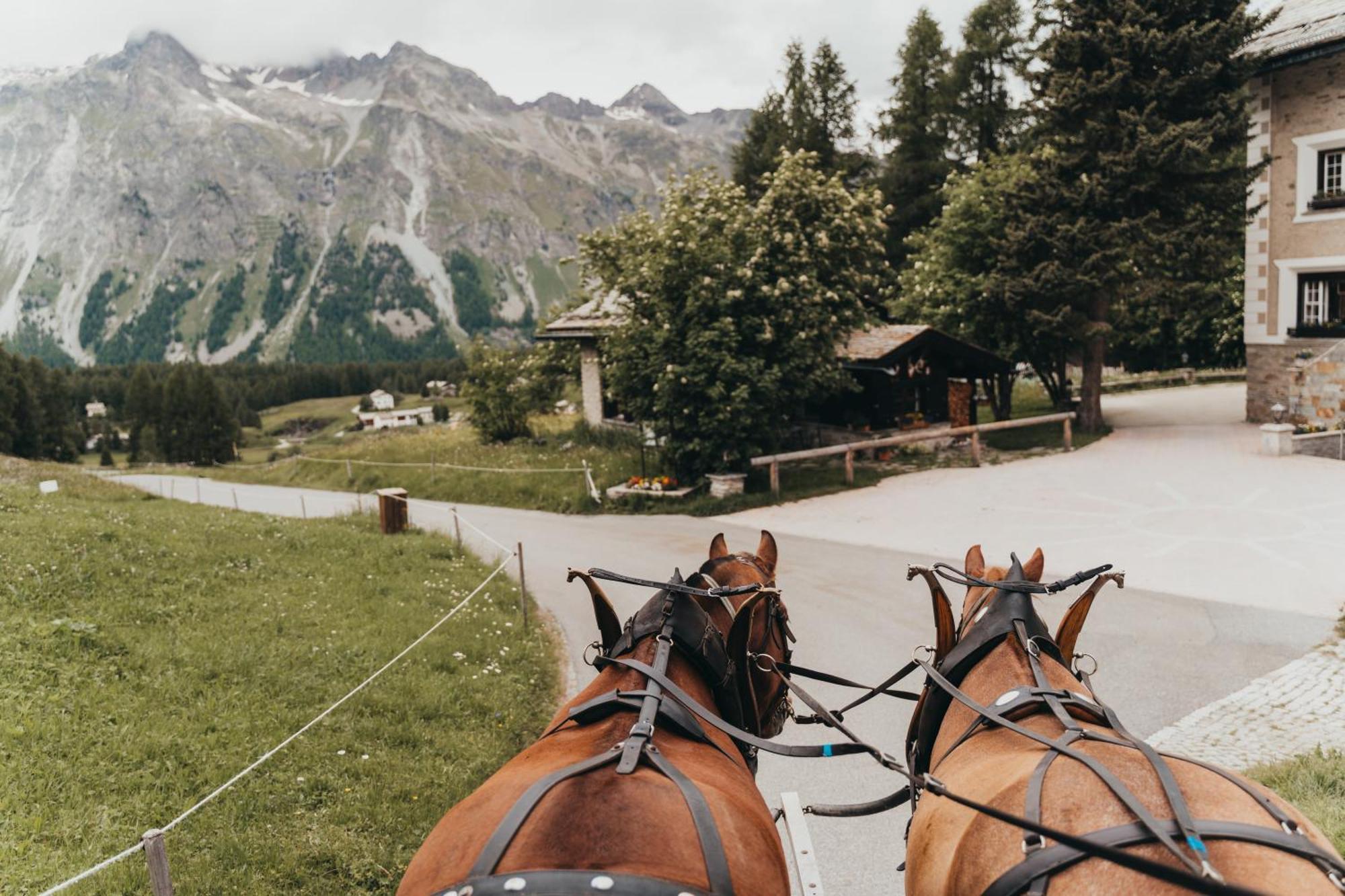 Hotel Bernina 1865 By Kleos Group Collection Samedan